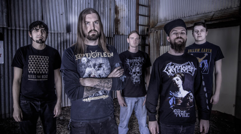 Allegaeon Promo - 2016