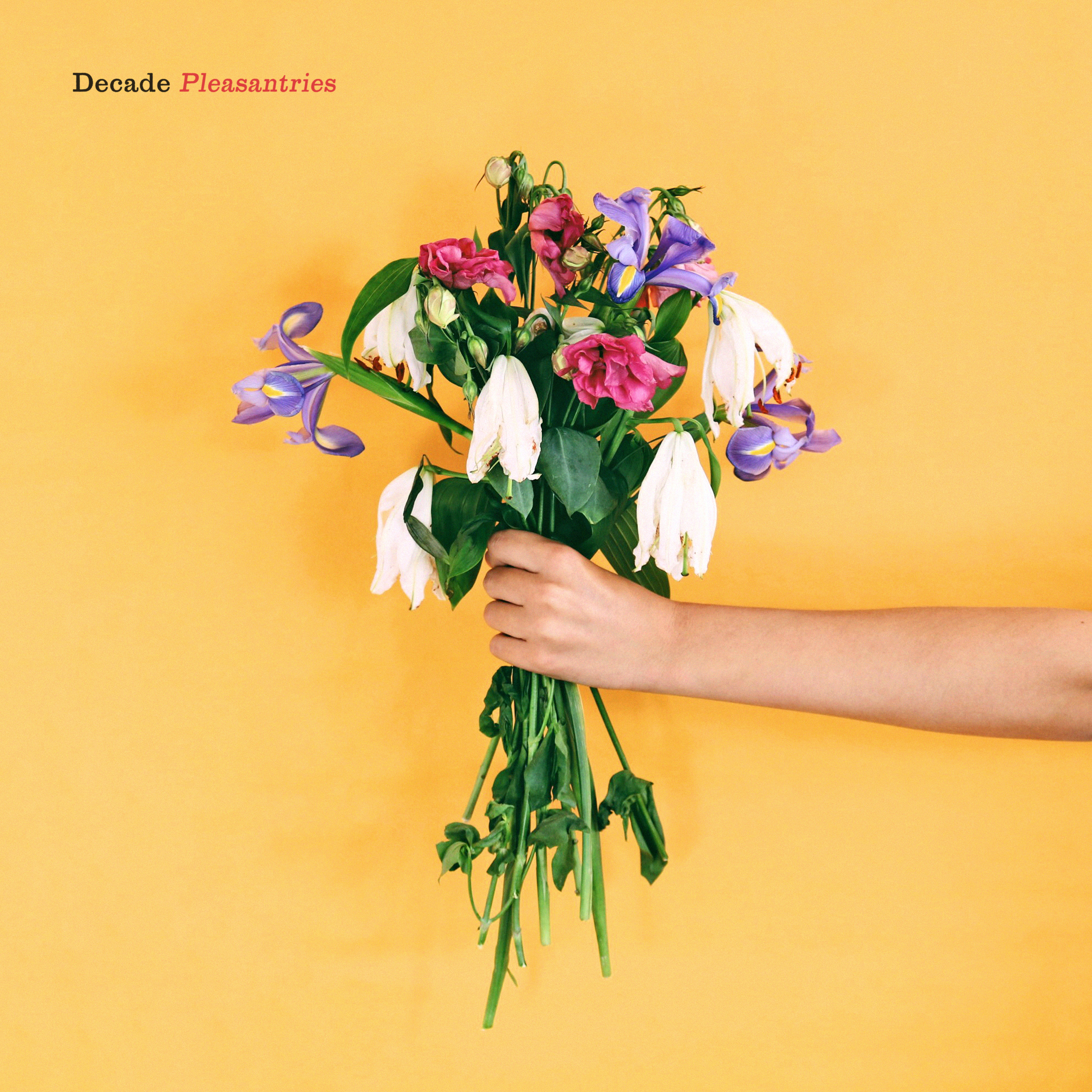 Pleasantries - Decade