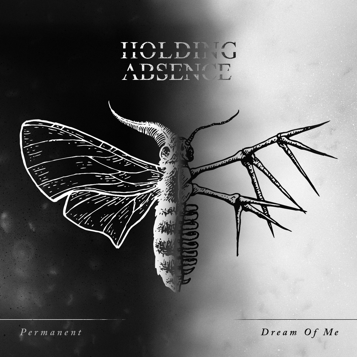 Permanent/Dream of Me - Holding Absence