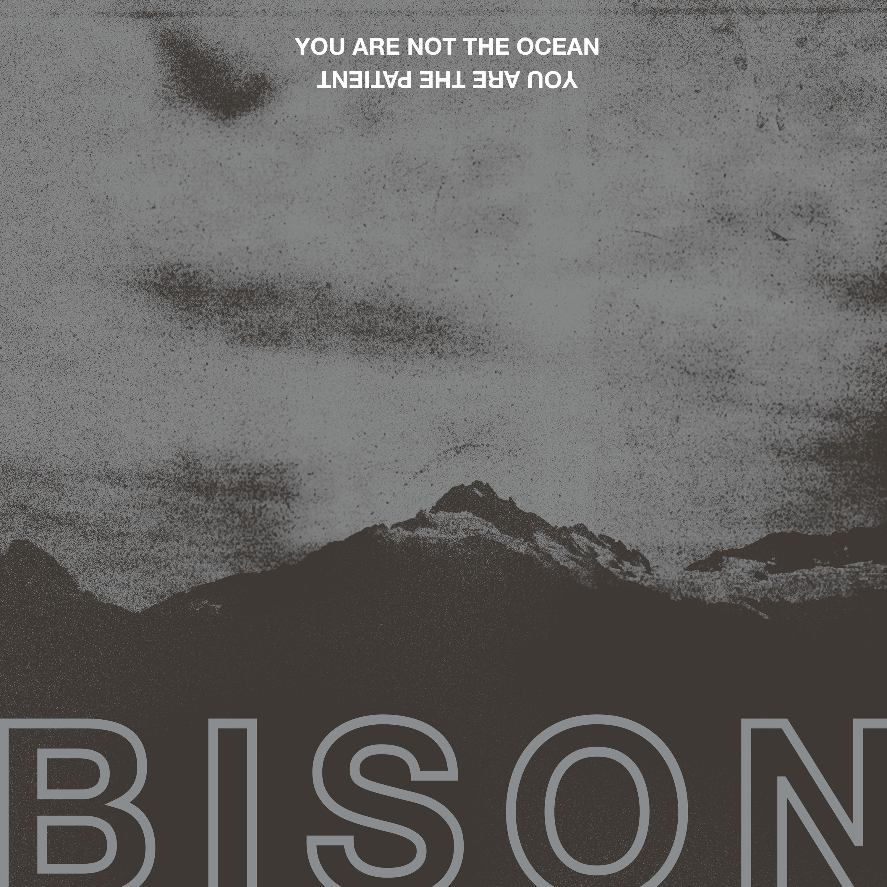 You Are Not The Ocean You Are The Patient - BISON