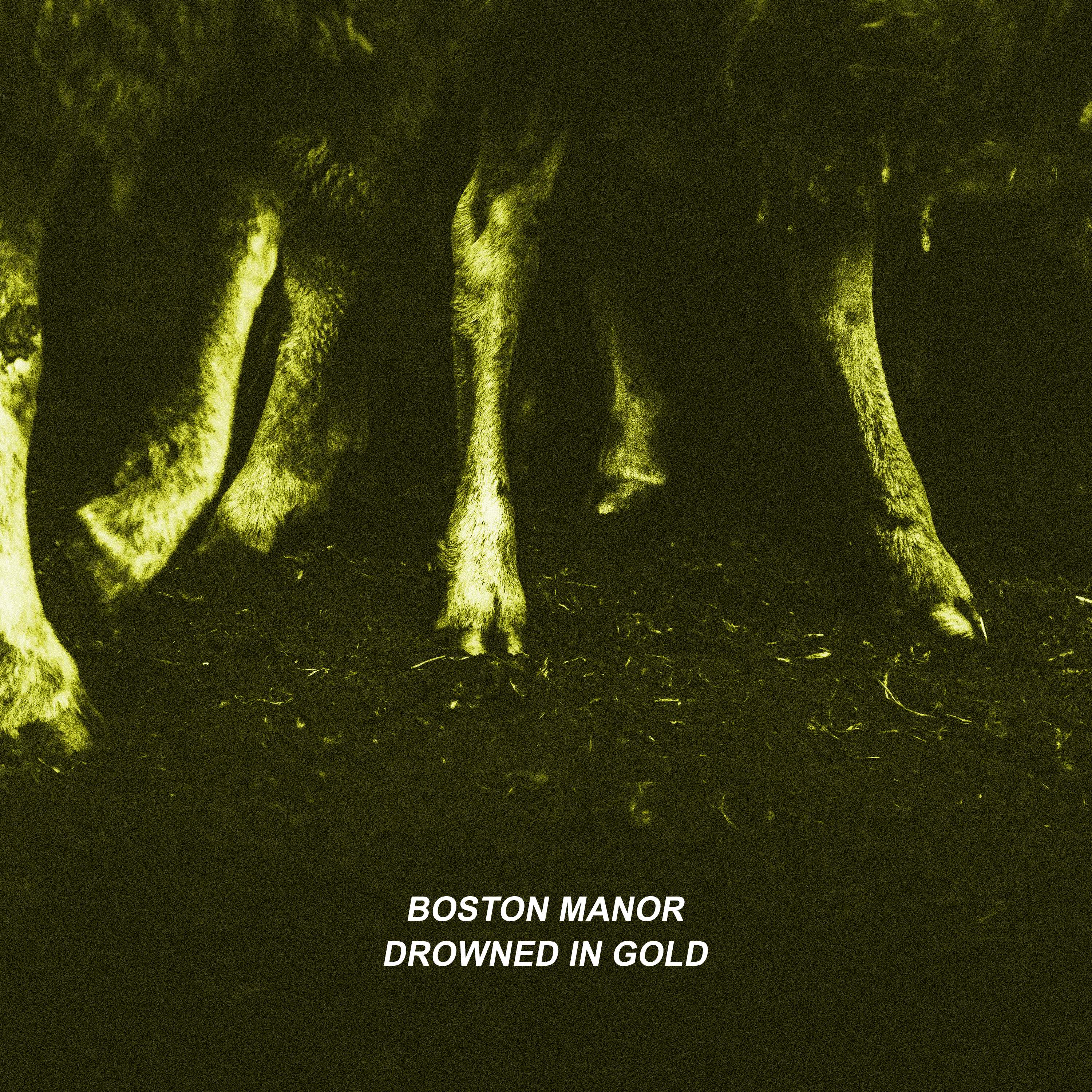 Drowned In Gold - Boston Manor