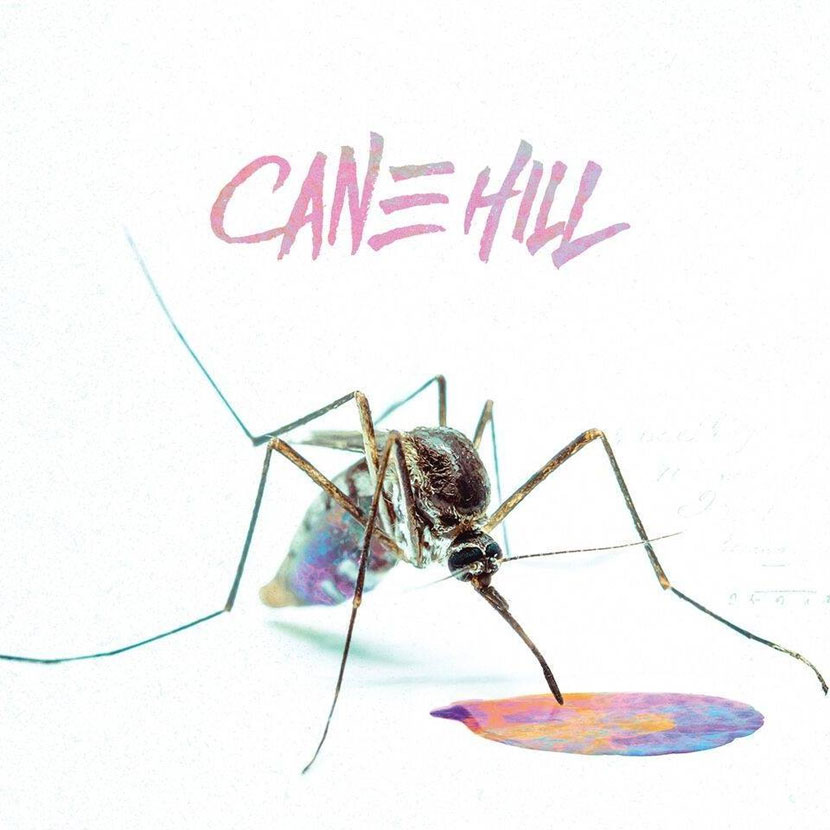 Too Far Gone - Cane Hill