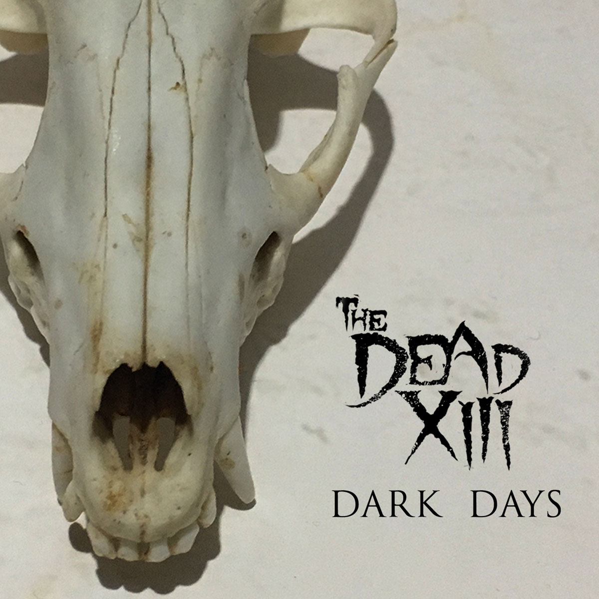 Dark Days - The Dead XIII