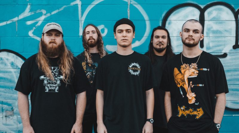 Knocked Loose 2019-1