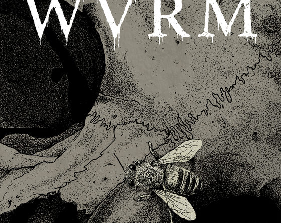 Colony Collapse - WVRM