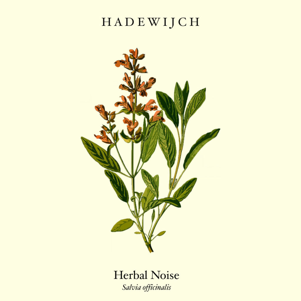 Hadewijch - Herbal Noise
