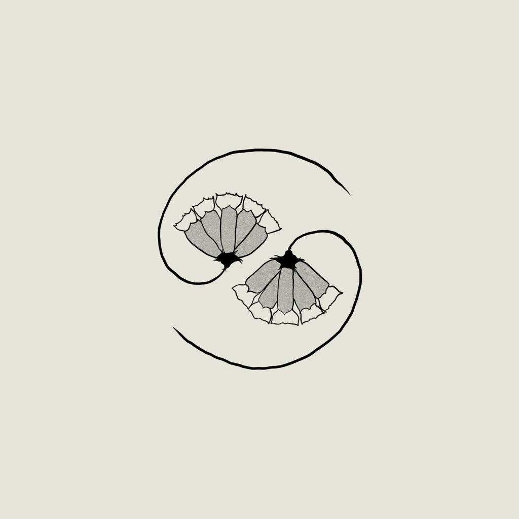 G_d’s Pee AT STATE’S END - Godspeed You! Black Emperor