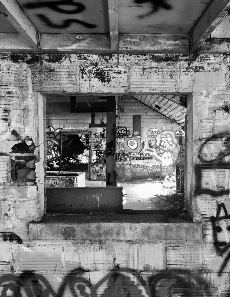 Noisepoetnobody - Insanity Mirror