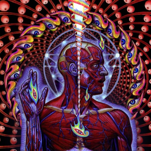 HEAVY MUSIC HISTORY: ON THIS DAY: Lateralus - Tool - Distorted Sound  Magazine