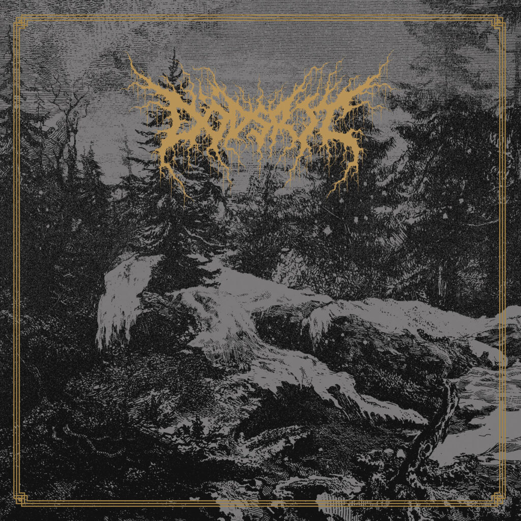 Mortal Coil - Dödsrit