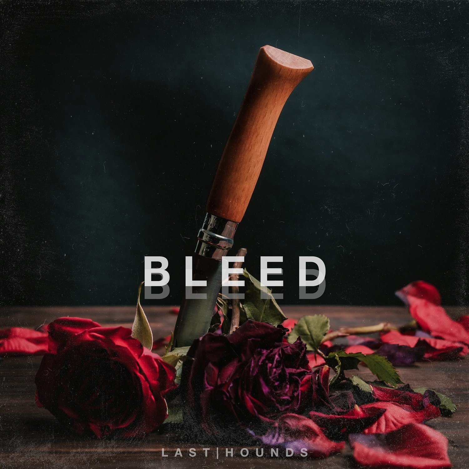 Last Hounds Bleed Single Cover