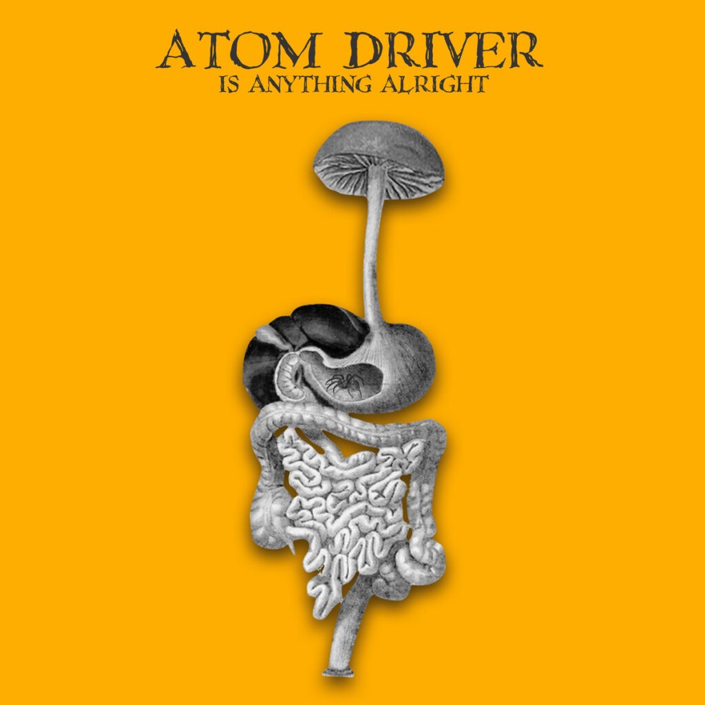 Is Anything Alright - Atom Driver