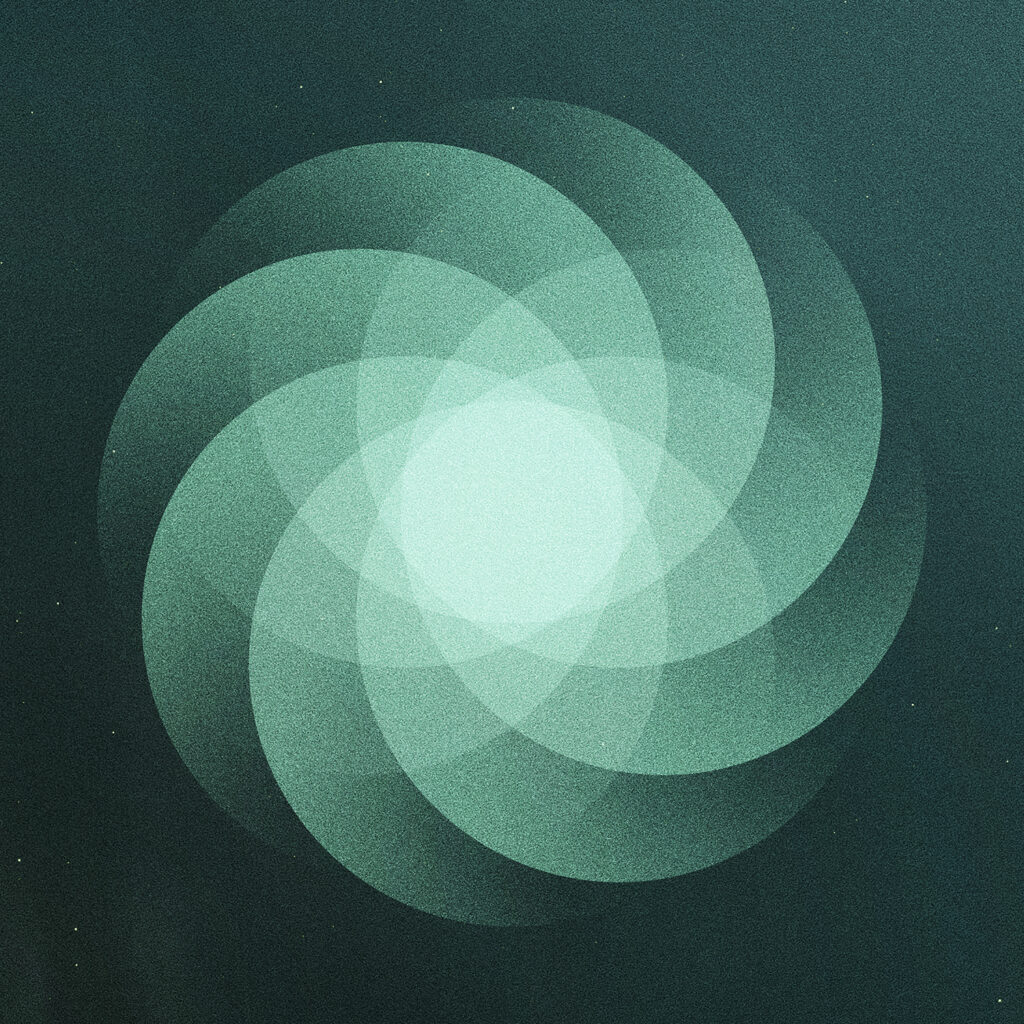 The Shape of Everything - SOM
