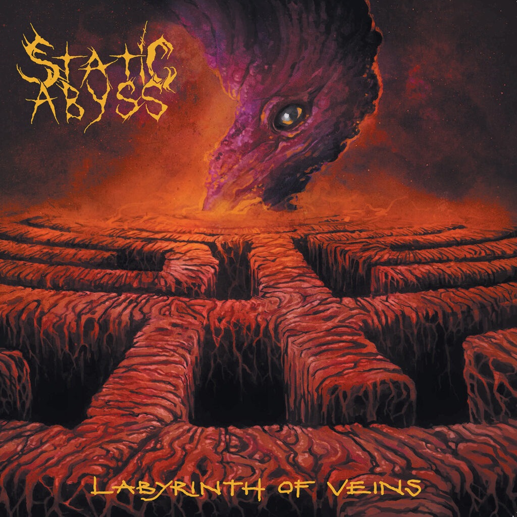 Labyrinth Of Veins - Static Abyss
