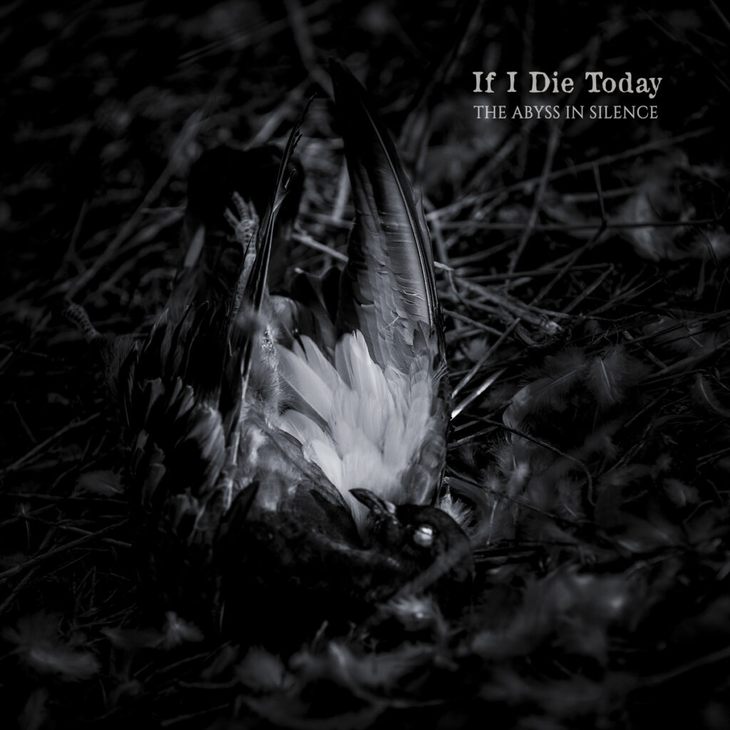 The Abyss In Silence - If I Die Today