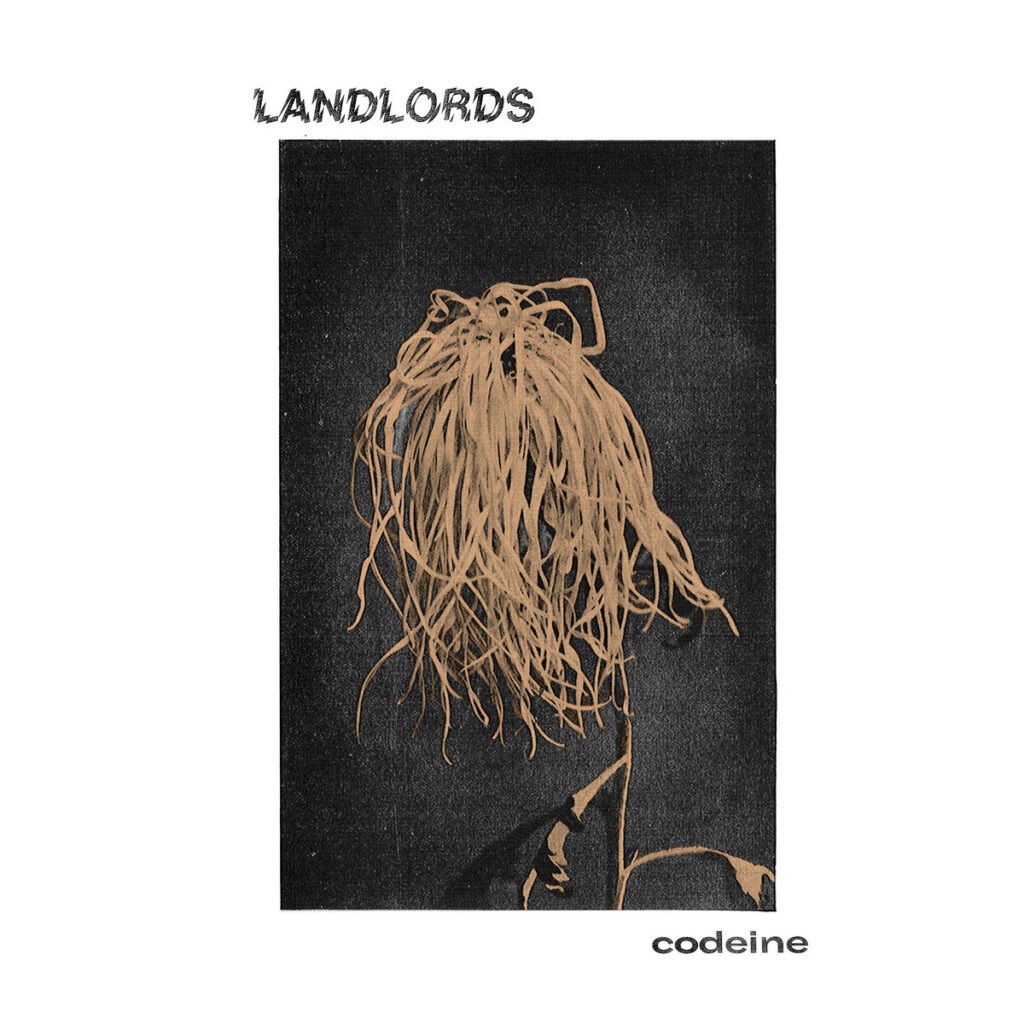 Codeine - Landlords