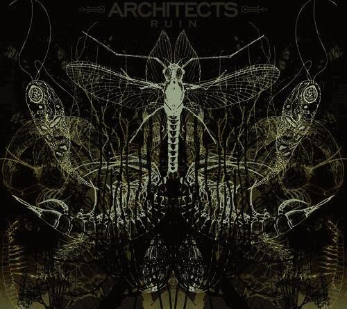 Ruin - Architects