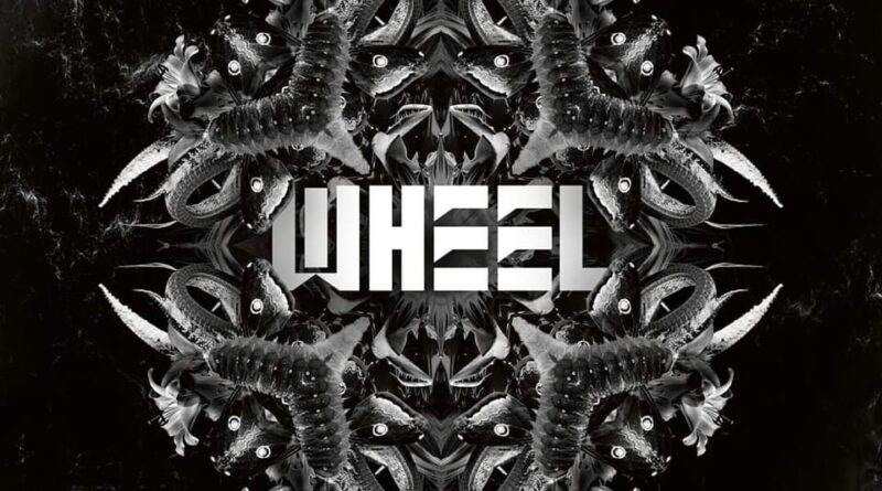 Rumination - Wheel