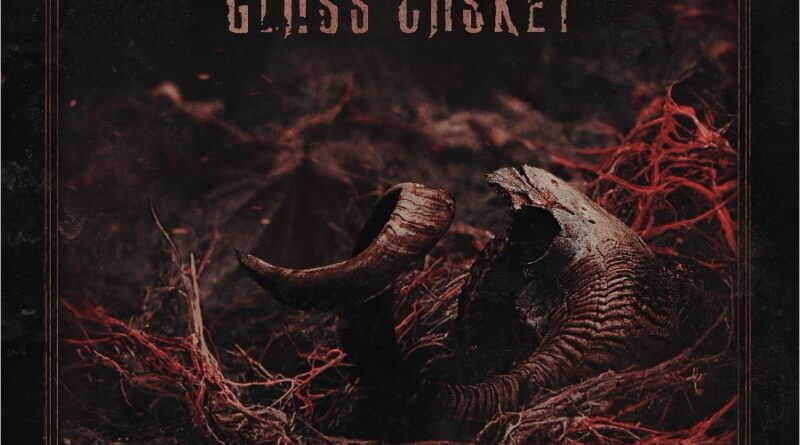 Glass Casket - Glass Casket