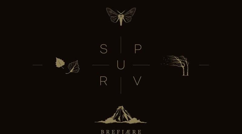 Brefjære - Spurv