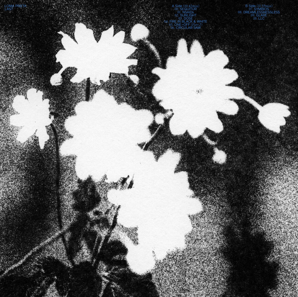 Last - Loma Prieta