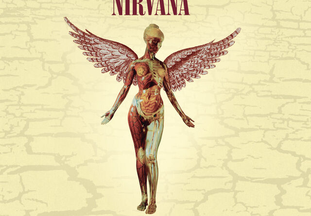 Nirvana - In Utero Artwork