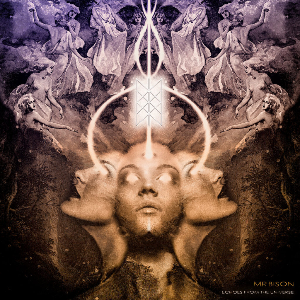 Echoes From The Universe - Mr. Bison