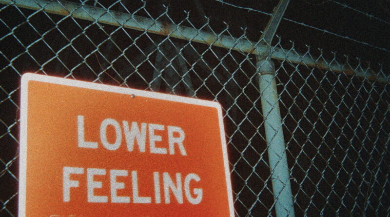 Lower Feeling - Rarity