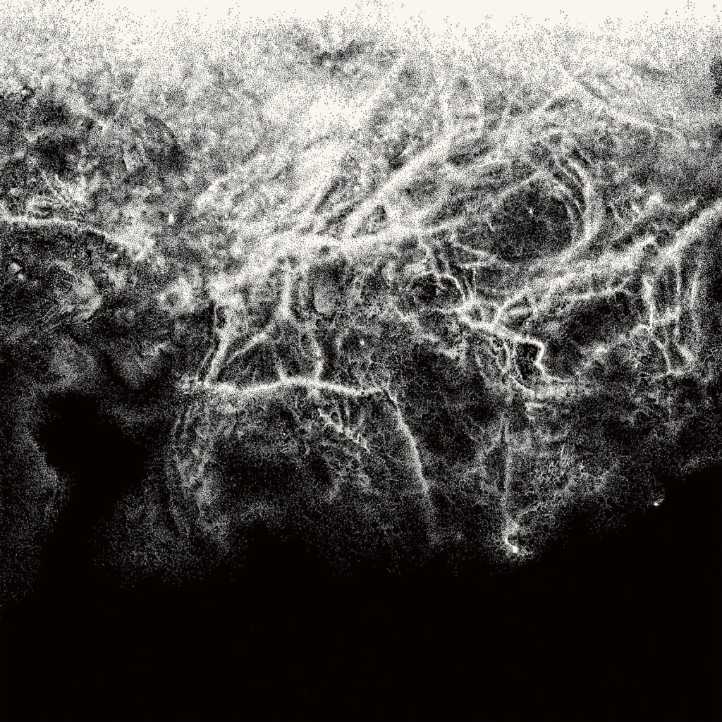 Where Nothing Grows - Offernat