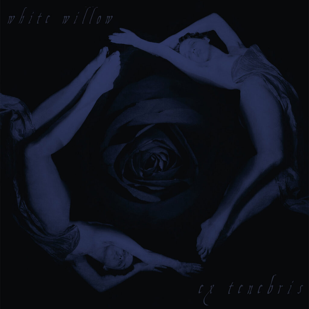 Ex Tenebris - White Willow