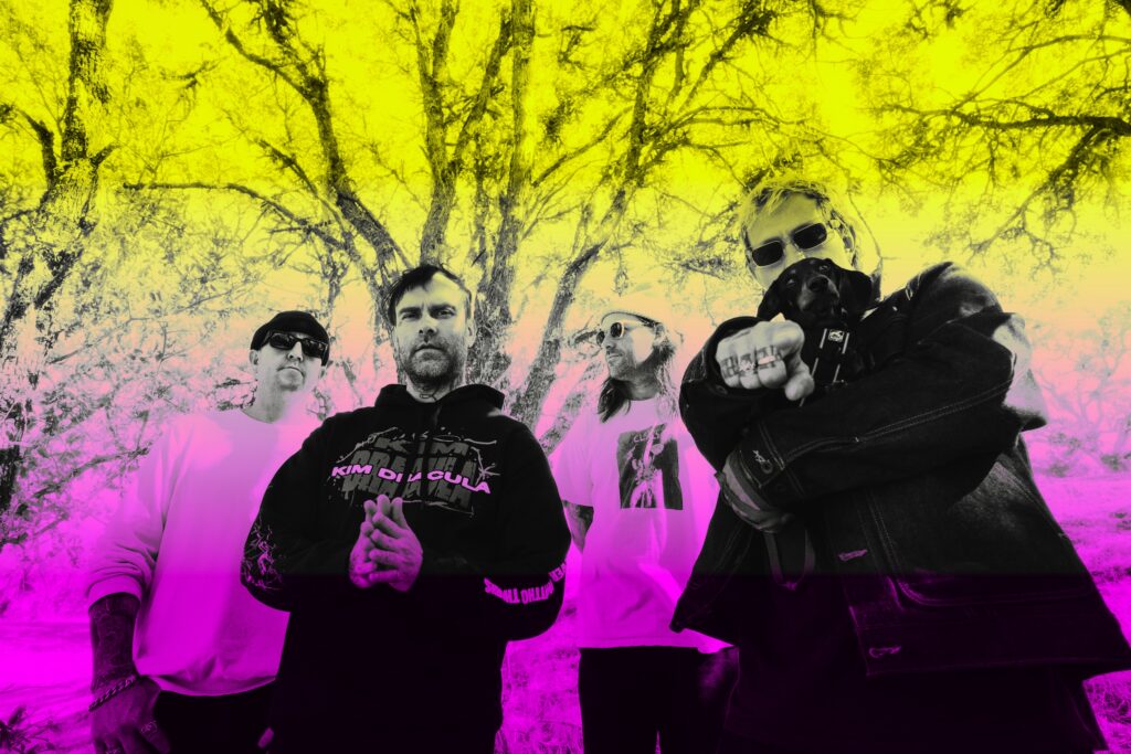 The Used 2024