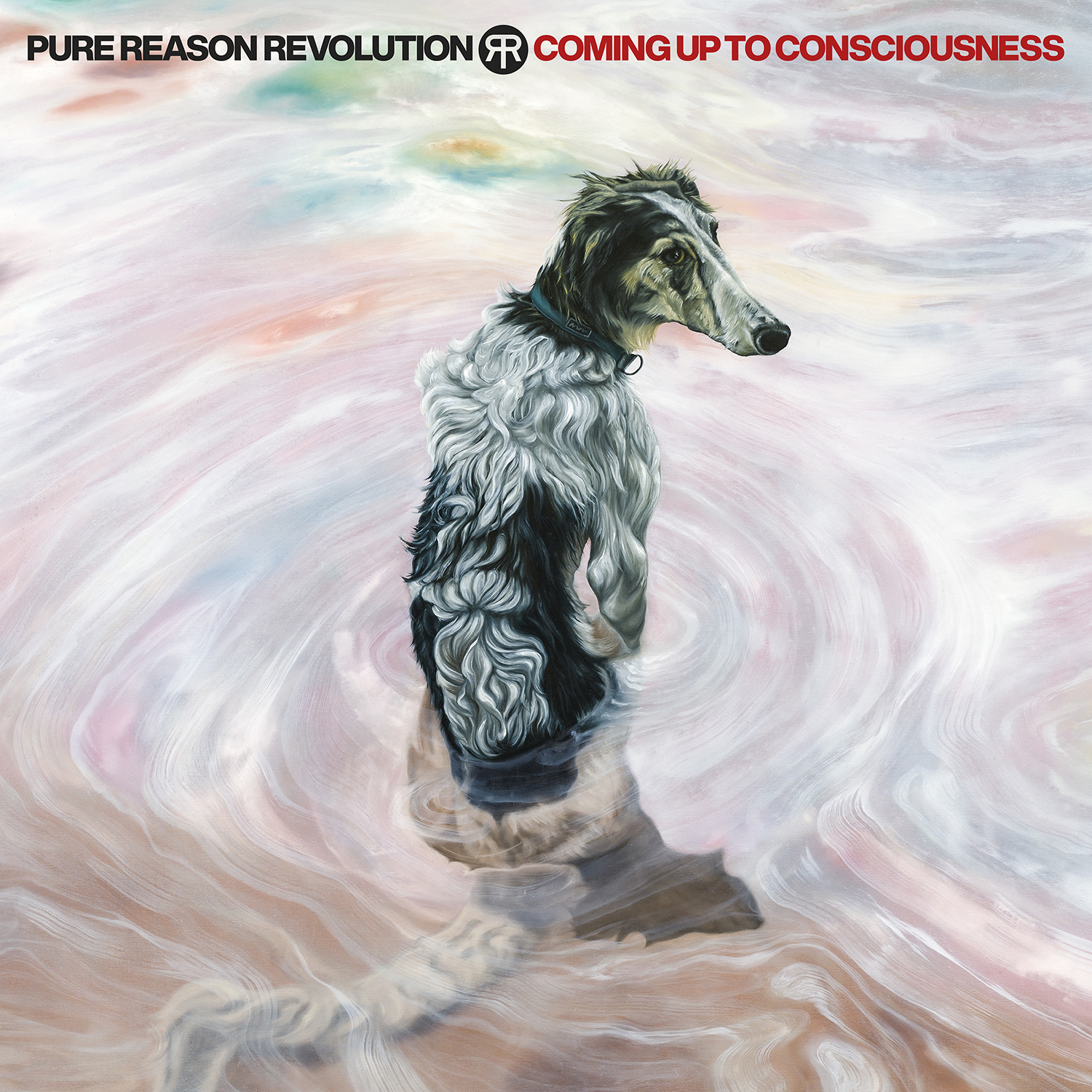 Coming Up To Consciousness - Pure Reason Revolution