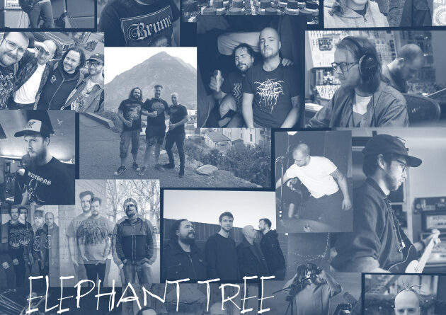 Handful Of Ten - Elephant Tree