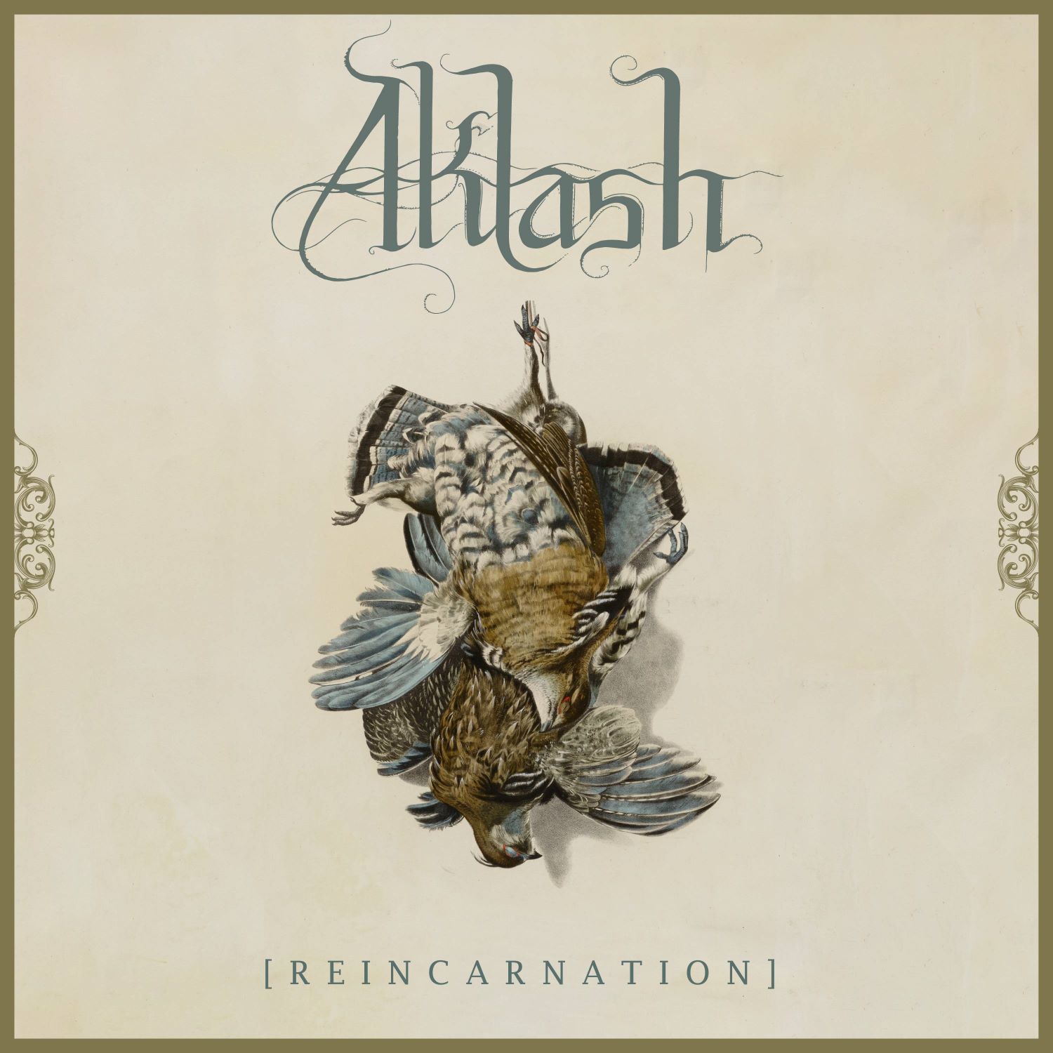 Reincarnation - Aklash