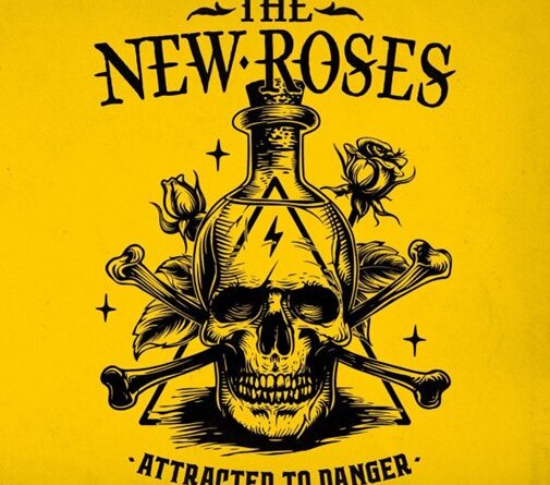 Attracted To Danger - The New Roses