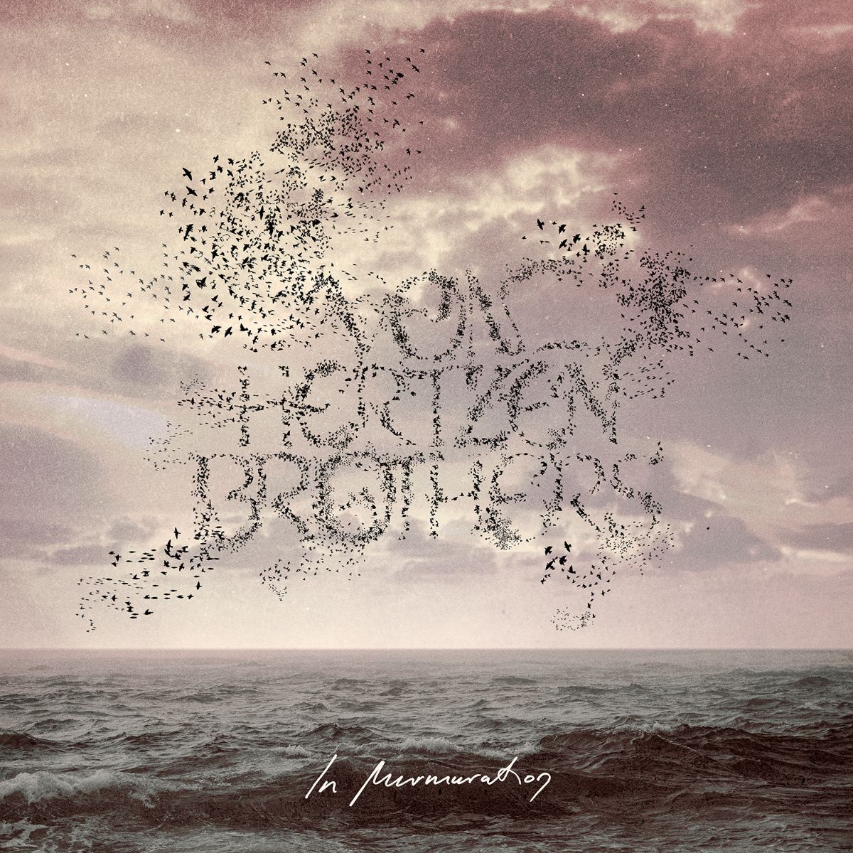 In Murmuration - Von Hertzen Brothers