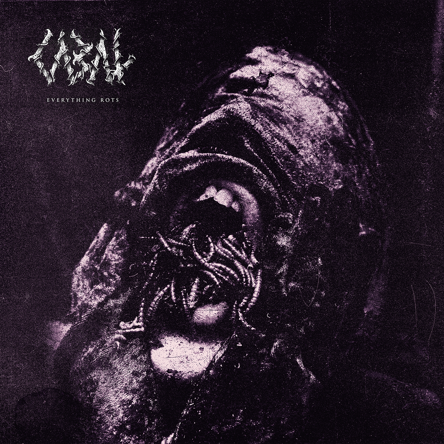 Everything Rots - Cabal