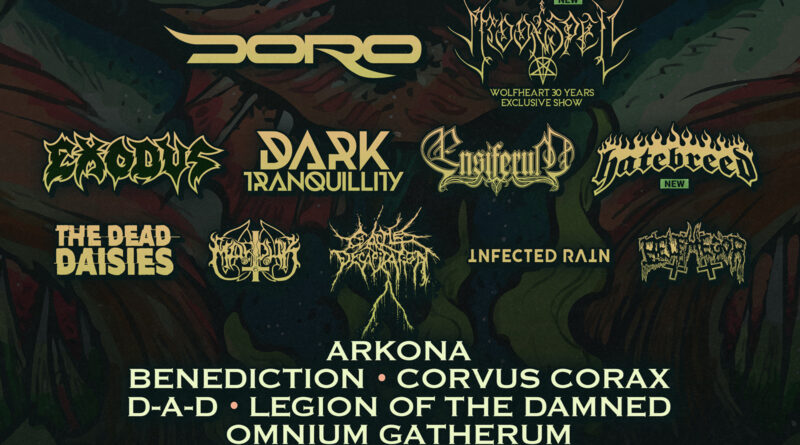 Basinfirefest 2025 - Announcement 2