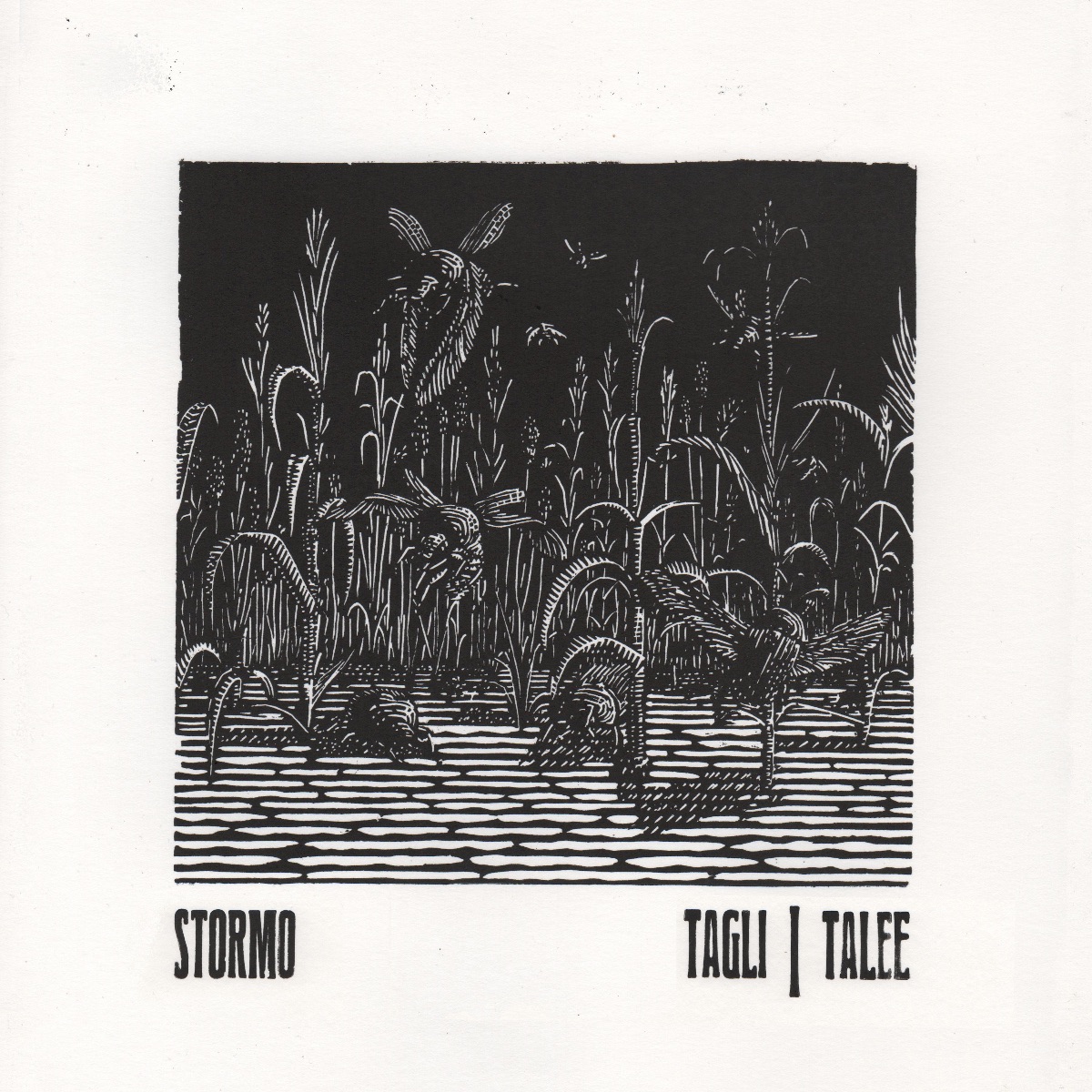 Tagli Talee - Stormo