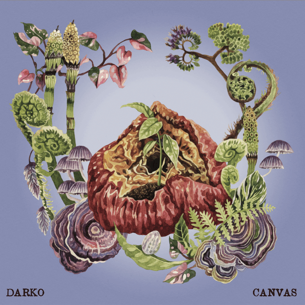 EP REVIEW: Canvas - Darko