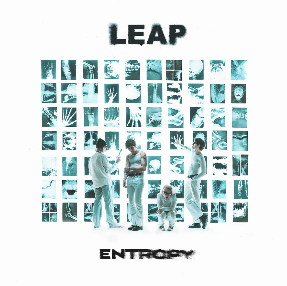 Entropy - LEAP
