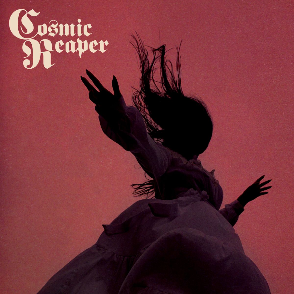 Bleed the Wicked, Drown the Damned - Cosmic Reaper