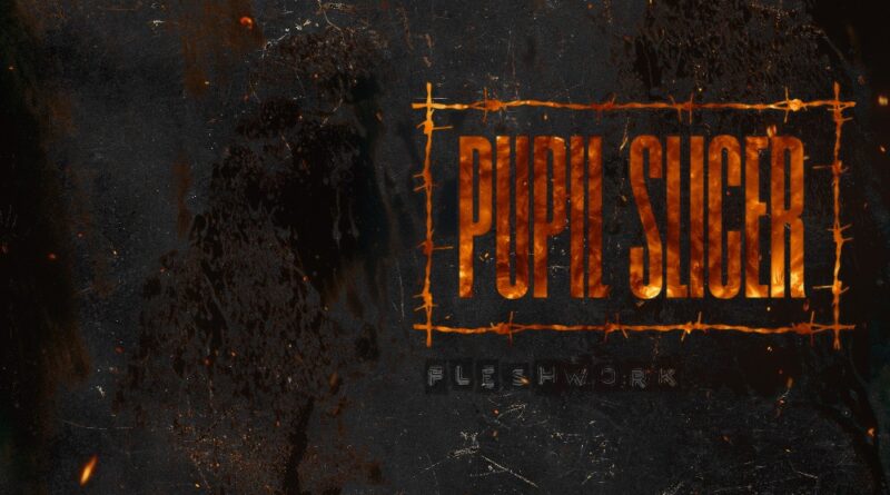 Fleshwork - Pupil Slicer