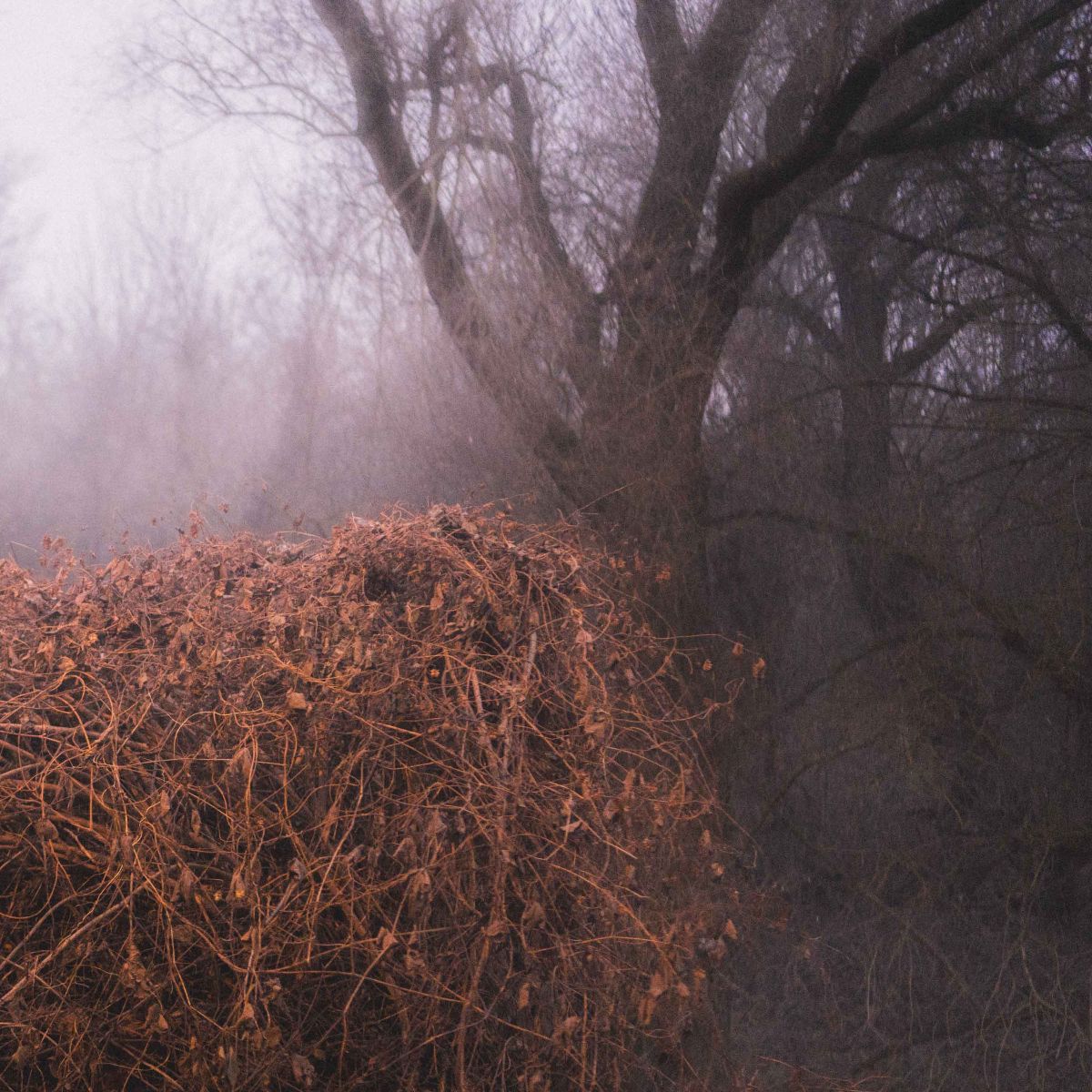 Nincs Szennyezetlen Szép - The Devil's Trade