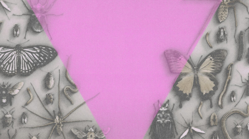 Survival Is An Act Of Defiance - Death Goals