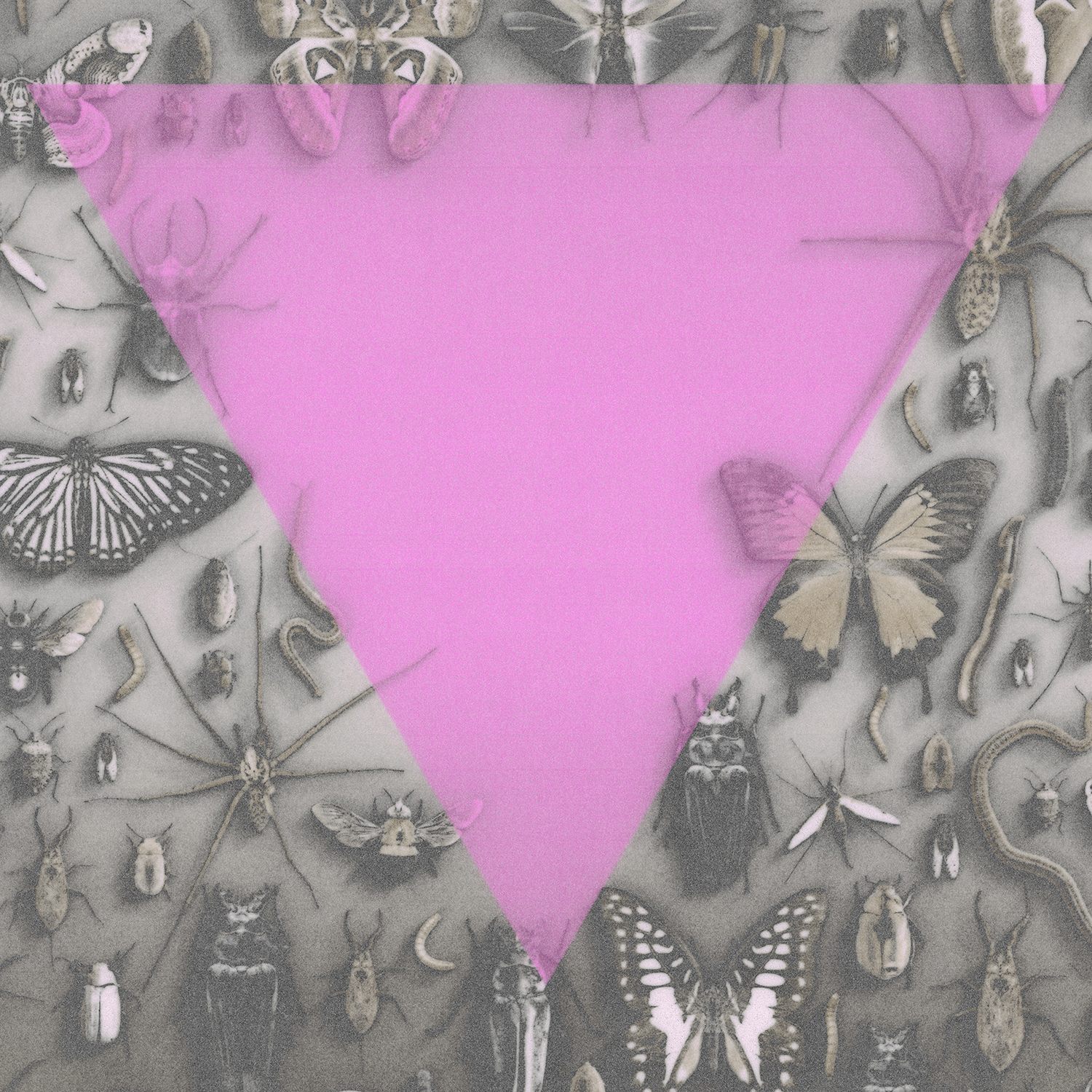 Survival Is An Act Of Defiance - Death Goals