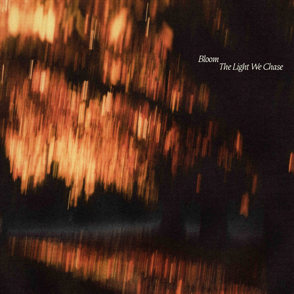 The Light We Chase - Bloom