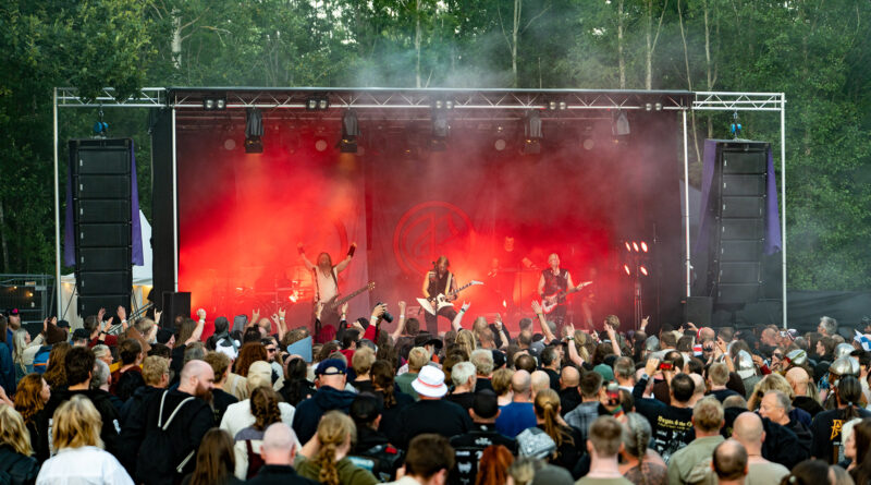 Midgardsblot 2025 crowd photo