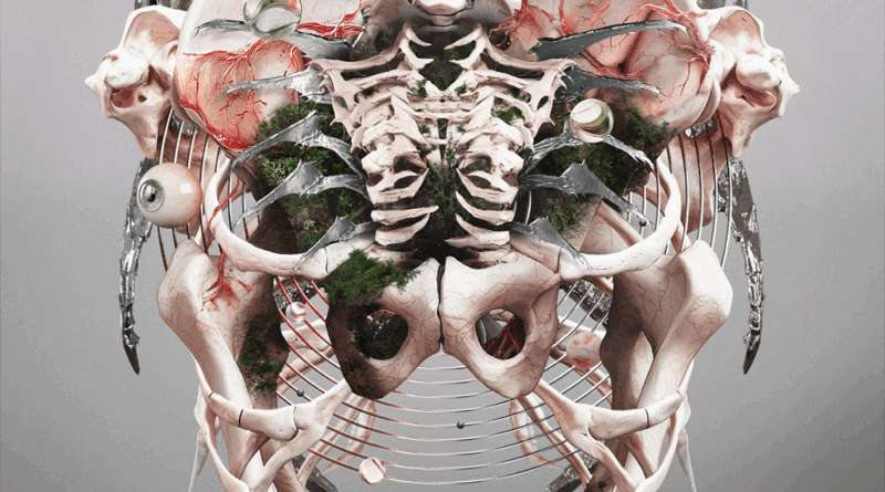 The Weight of Sound - Crystal Lake