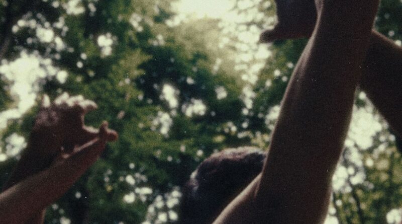 With All That's Left - Cold Night For Alligators